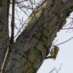 Rozhovor s fotografem Jaroslavem Klinským