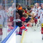 Hradec Králové - Sparta Praha (Stanislav Souček/mountfieldhk.cz)