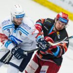 Mountfield HK — HC Škoda Plzeň