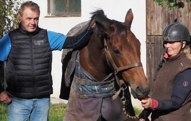 Trenér Vítek má svůj sen: Jednou vyhrát Velkou pardubickou