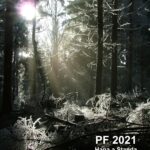 PF 2021 pro magazín Salonky