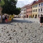 Divadelní svátek REGIONY návštěvníci Hradce i místní považují za živou vodu