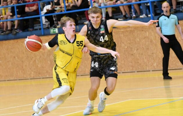 Sokoli jsou blízko pádu do 1. ligy. V Písku prohráli 85:100