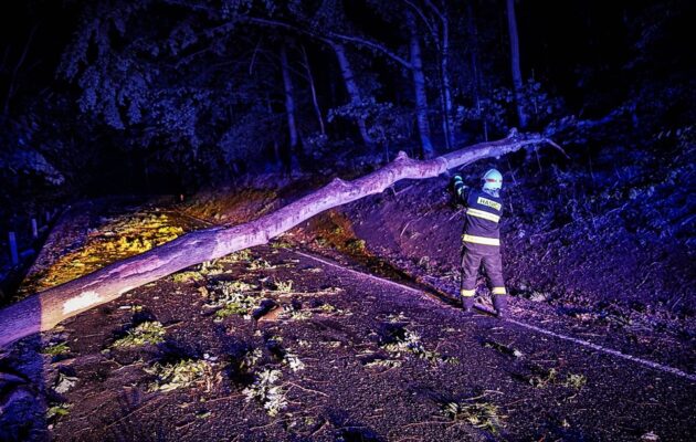 Při noční bouřce se silným větrem padaly stromy a kolabovala elektřina
