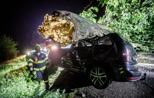 Bouře s větrem v hradeckém kraji lámala stromy, hasiči měli 124 výjezdů