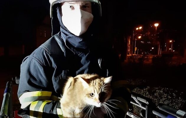 Hasiči měli na Silvestra klidněji, zasahovali pouze u čtrnácti událostí