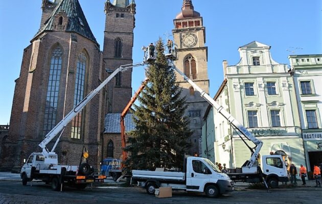 Hradec vybral vánoční stromy. Velké i Masarykovo náměstí letos ozdobí smrky