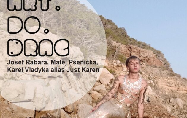 Umělci na výstavě Art.Do.Drag v Galerii za Galerií pracují s větší svobodou projevu