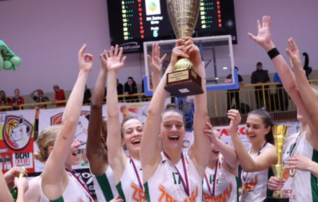 Po dvou vítězstvích přišla prohra. Lvice padly v Brně 92:66
