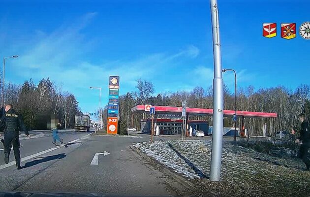 Zloděje ve křoví vyčenichal pes Kimmy, pak už skončil v policejní cele