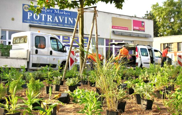 Unikátní trvalkový záhon a šest nový stromů zvelebí Malšovice