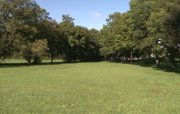 U koupaliště Flošna vznikne první psí park v Hradci Králové