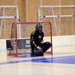 FbC Hradec Králové - FBC Vikings Kopřivnice 5:9