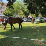 Bezpečné nábřeží 2024