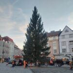 Na hradeckých náměstích už stojí oba vánoční stromy. Jak se vám líbí?