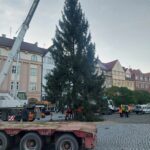 Na hradeckých náměstích už stojí oba vánoční stromy. Jak se vám líbí?