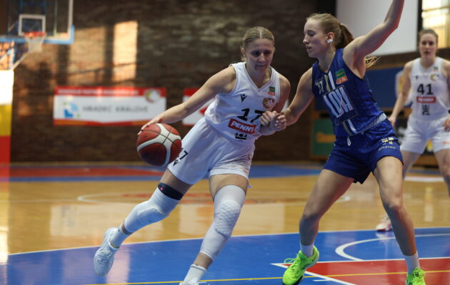 ŽBL: Hradecké Lvice - LOH 2028 Chomutov