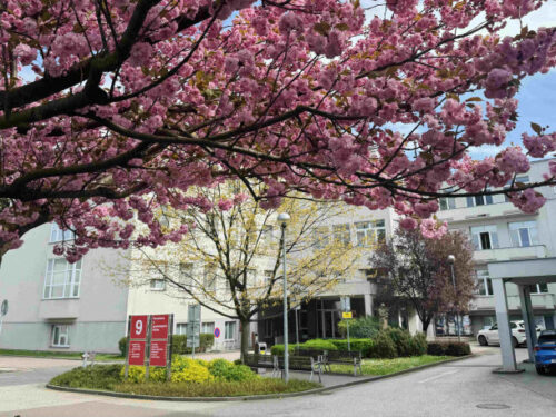 V hradecké fakultní nemocnici se loni narodilo 1863 dětí, meziročně o 119 méně