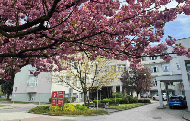 V hradecké fakultní nemocnici se loni narodilo 1863 dětí, meziročně o 119 méně