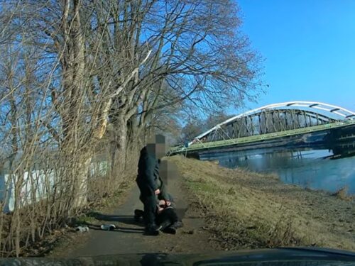 GIBS: Policisté při zadržení mladíka podezřelého z vraždy prodavaček nepochybili