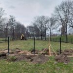 U Flošny vzniká první psí park v Hradci Králové
