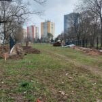 U Flošny vzniká první psí park v Hradci Králové