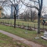 U Flošny vzniká první psí park v Hradci Králové