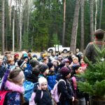 Stromky z vánočních trhů se vrací do přírody. Se sázením pomáhají děti