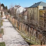 Rozkvetlé jižní terasy jsou po čtyřech měsících znovu otevřené