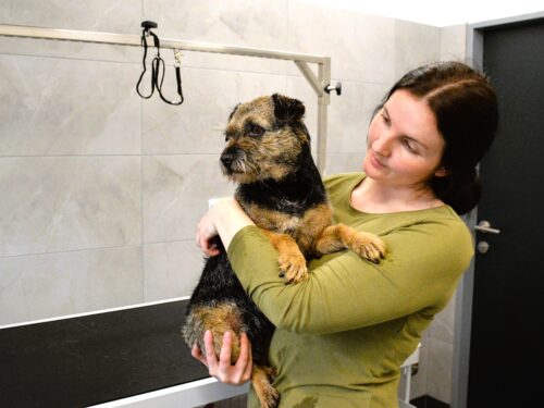 Psí salon i veterinární péče na jednom místě
