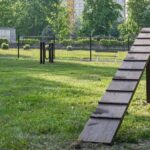 FOTO: U Flošny otevřel první psí park v Hradci. V provozu je denně od 8 do 21 hodin