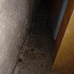 FOTO: Špína a trus hlodavců. Inspekce uzavřela hospodu na Šrámkově statku