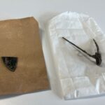 Unikátní objev v trase D35. Archeologové našli keltské sídliště evropského významu