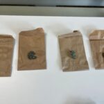 Unikátní objev v trase D35. Archeologové našli keltské sídliště evropského významu