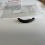 Unikátní objev v trase D35. Archeologové našli keltské sídliště evropského významu