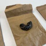 Unikátní objev v trase D35. Archeologové našli keltské sídliště evropského významu