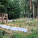 OBRAZEM: Stavba cyklostezky k lesnímu hřbitovu za 20 milionů odstartovala