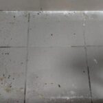 OBRAZEM: Špína a švábi. Inspektoři uzavřeli v OC Kukleny asijské bistro i pizzerii