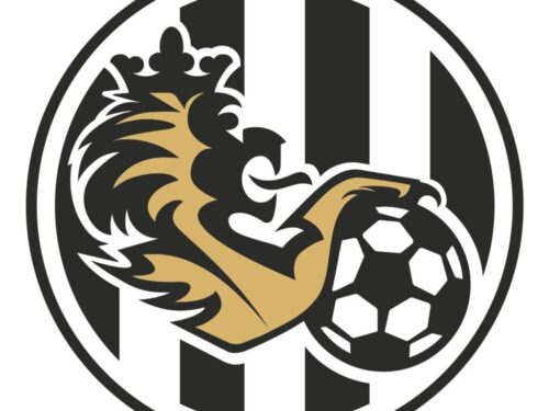 Jednání o prodeji FC Hradec Králové jsou u konce. Město čeká na finální nabídku