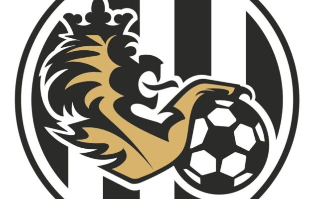 Jednání o prodeji FC Hradec Králové jsou u konce. Město čeká na finální nabídku