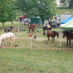 Jubilejní dožínky přilákaly do Šimkových sadů tisíce návštěvníků