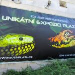 Unikátní expozice: Svět plazů v Kuklenách