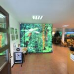 Unikátní expozice: Svět plazů v Kuklenách
