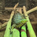 Unikátní expozice: Svět plazů v Kuklenách