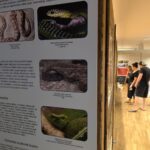 Unikátní expozice: Svět plazů v Kuklenách