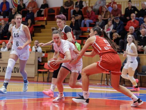 Lvice nestačily na Brandýs, na první výhru musí počkat. Rozhodla už první čtvrtina
