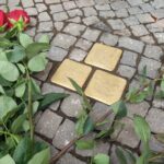FOTO: V Hradci přibylo dalších 15 kamenů zmizelých, připomínají oběti nacismu