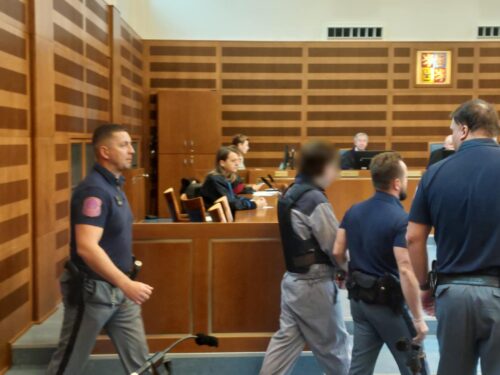 Extrémní riziko recidivy. Mrazivé detaily z případu hradeckého vraha z Actionu