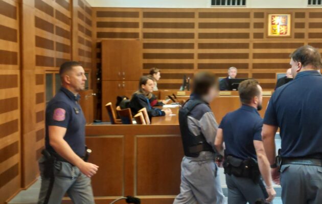 Devět let vězení a následná detence. Vrchní soud potvrdil trest pro vraha z Actionu