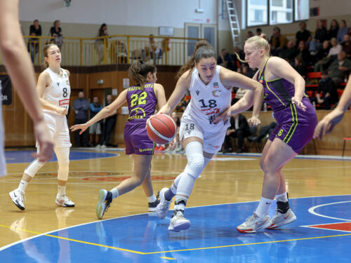 Hradecké lvice přivítají Slovanku. Nedělní dopoledne nabídne zábavu pro celou rodinu